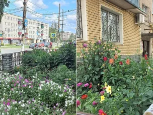 Администрация г.о.г.Кулебаки предлагает подписчикам группы ВКонтакте вам принять участие в проекте «Мой двор - моя гордость»